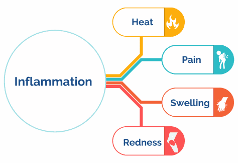 acute inflammation symptoms