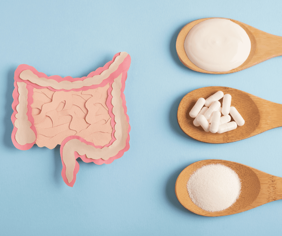 Gut Microbiome and Multiple Sclerosis_ Best Probiotics and Tools